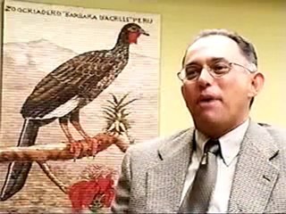 La Pava Aliblanca Parte 3