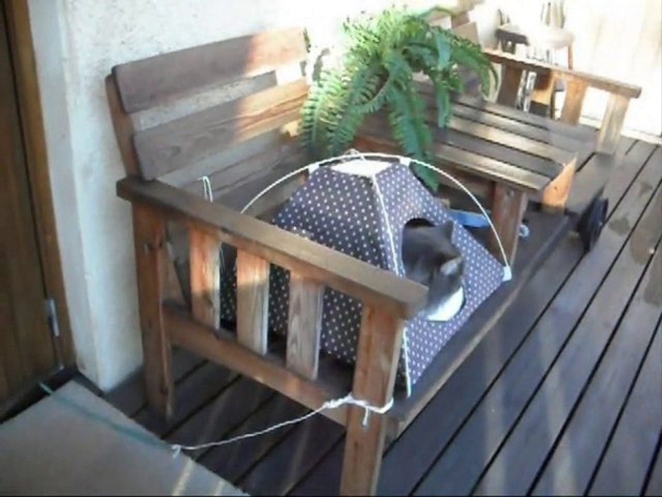 Film på Revis 31 Jan - 11. Med musik.