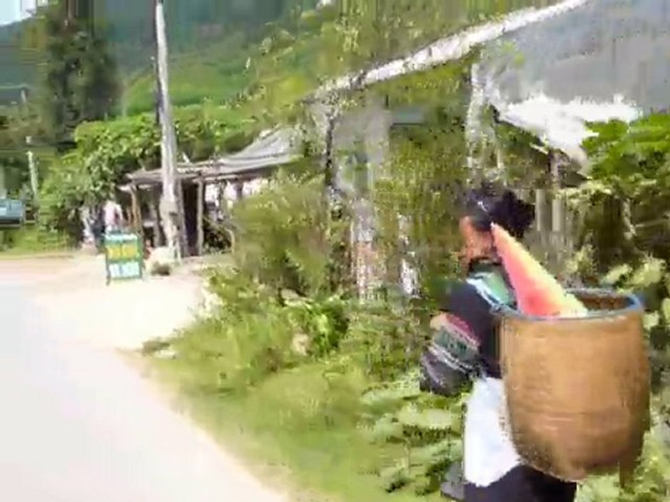 [Vietnam] Rizières de Sapa à moto