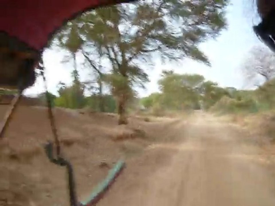 [Birmanie] Bagan en calèche