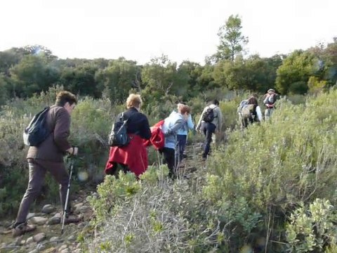 2011.01.12 Sollies Pont - Couvent St Hubert704