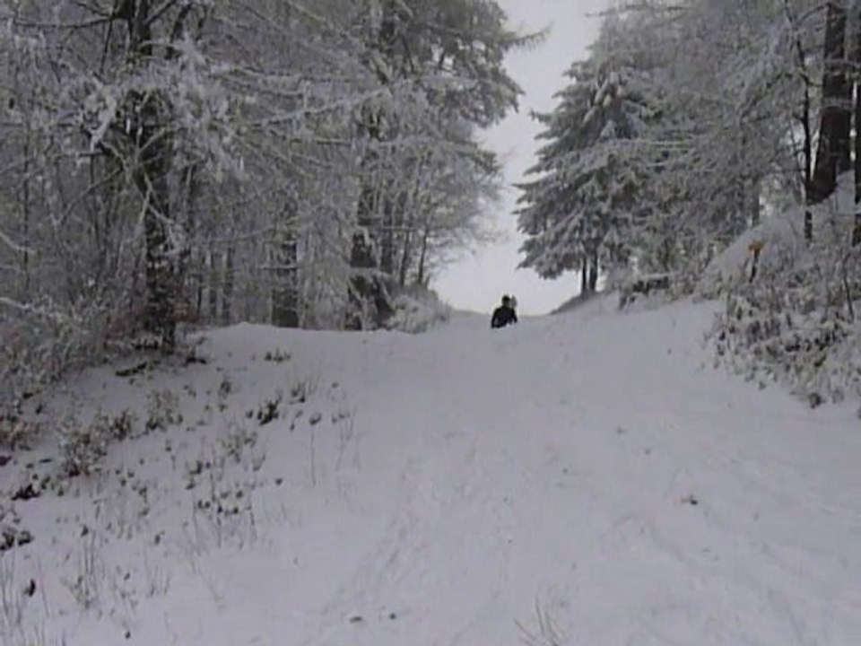 ski luge