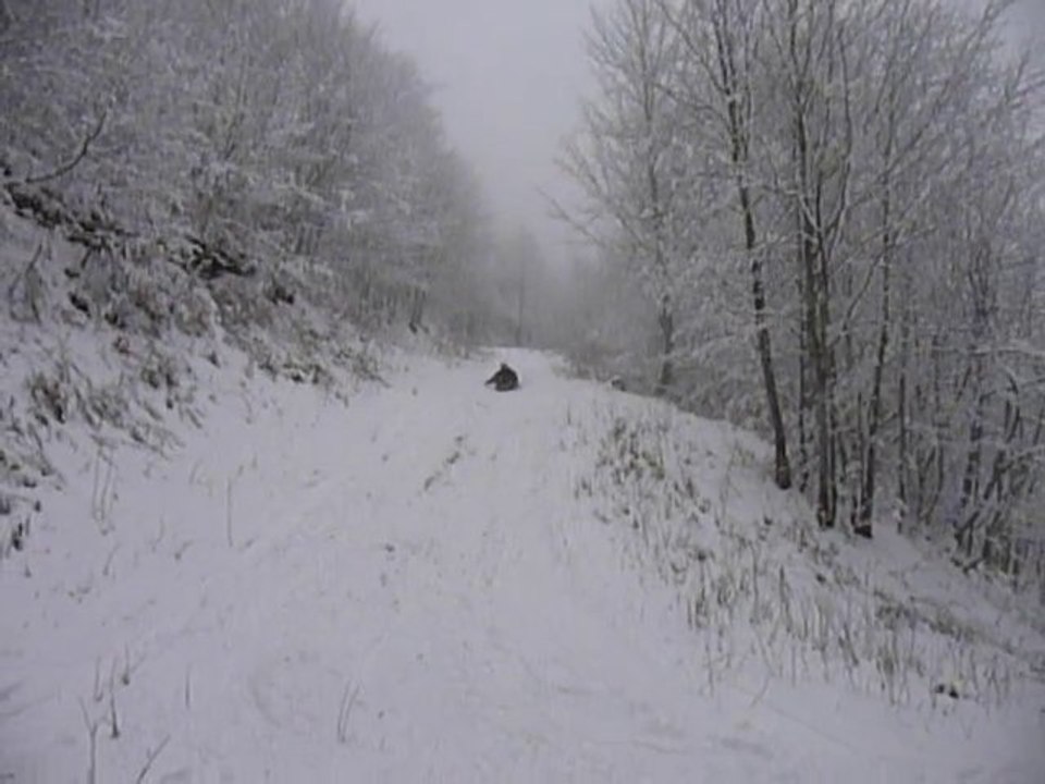 sky luge