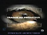 Traque au Prédateur, L'invasion des Requins - 1 de 3