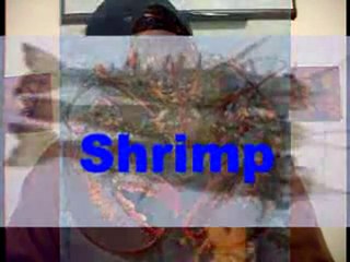 THE REASONS WHY I CAN'T BE A CHRISTIAN VIDEO 4 4