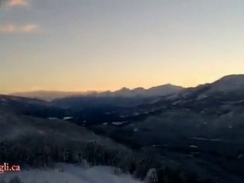 Whistler Powder Monkeys