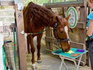 Karen & Lukas Have A Book!