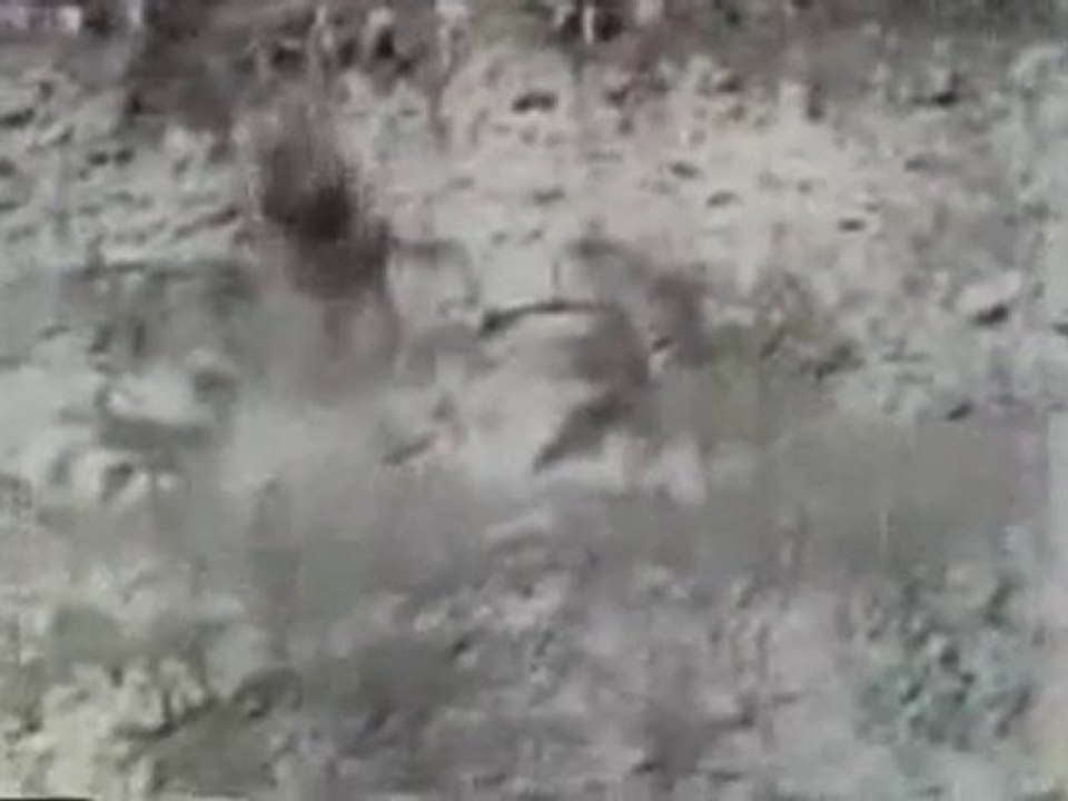 The saviour  mokiti okada