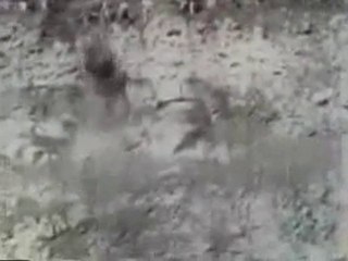 The saviour  mokiti okada