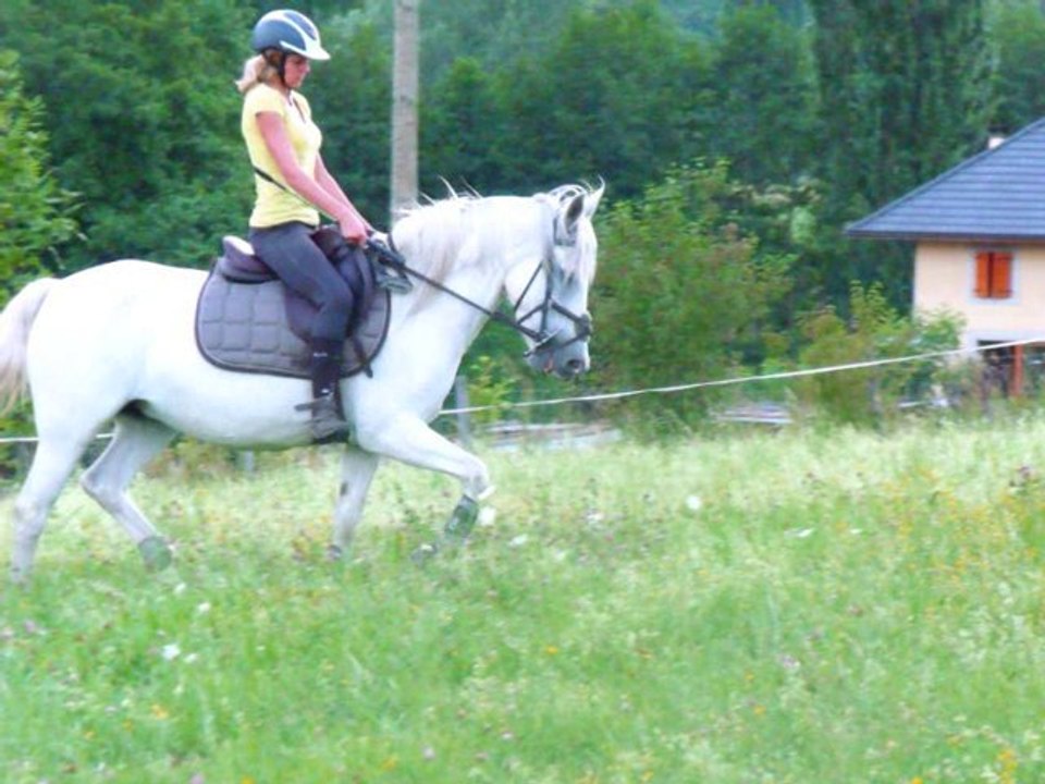 année 2010
