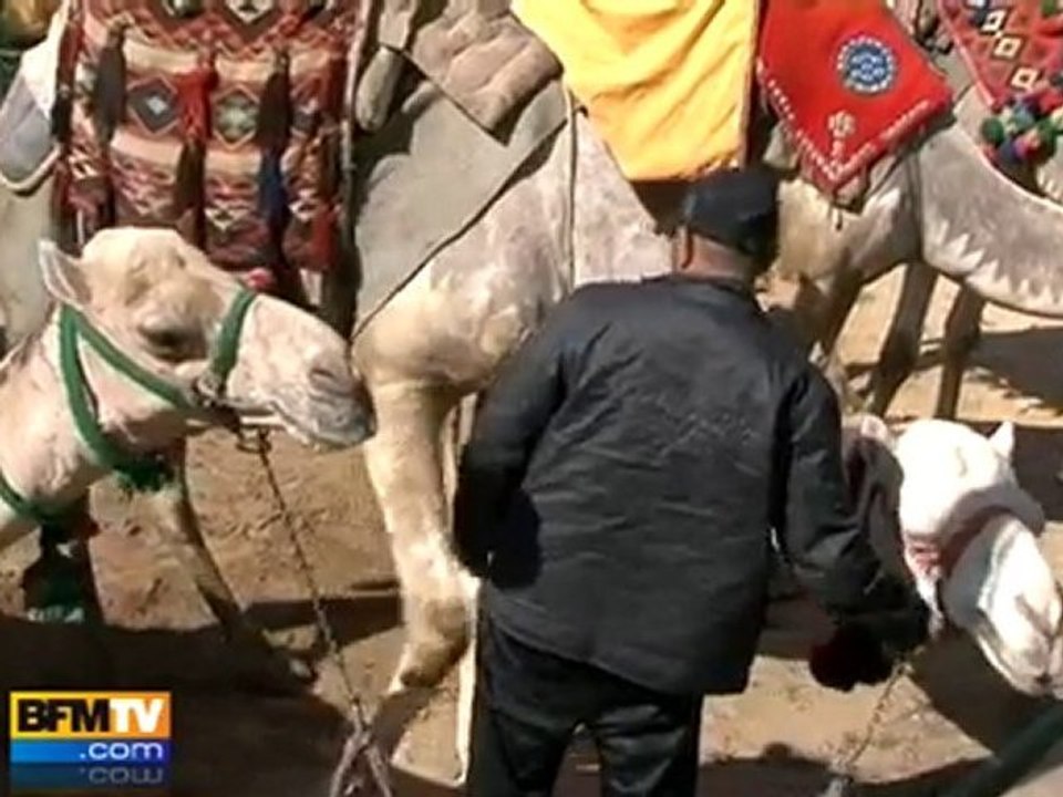 Egypte : les touristes désertent les pyramides