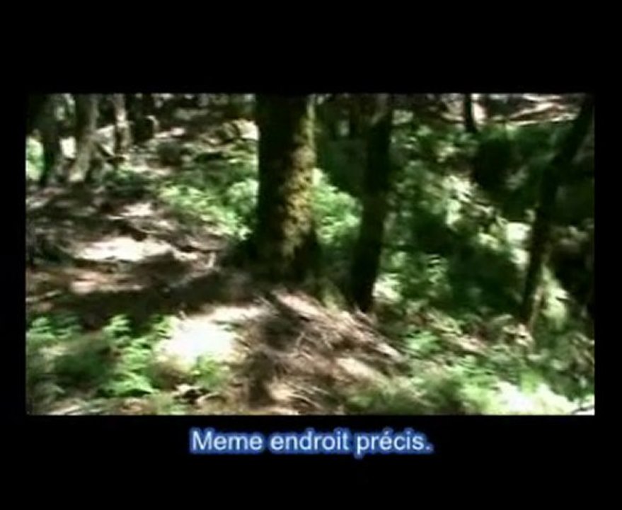 Comme dans le film