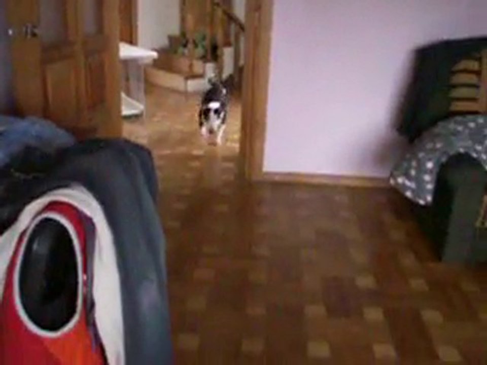 Crazy Keti