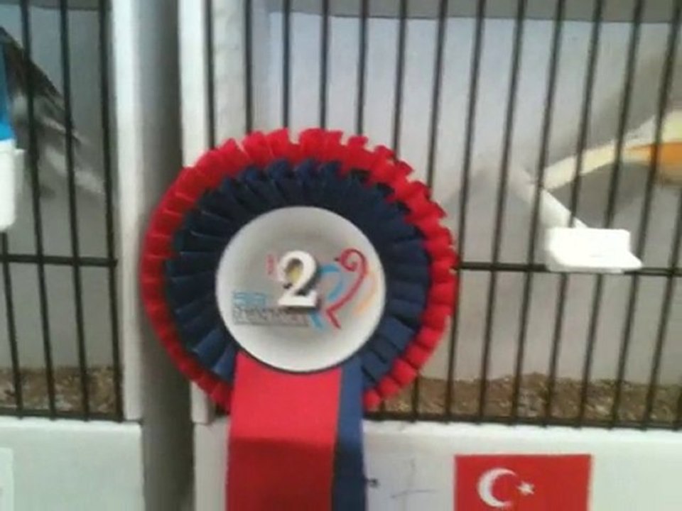 Oguz_Ertop_Fransa_2011_world.cup