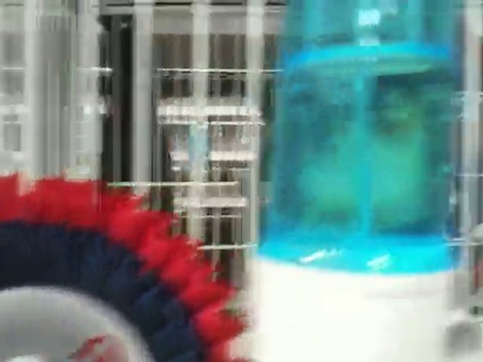 Sermet_Fransa_2011_world.cup