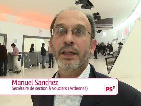 Cantonales, primaires, en 2011 mobilisons nous