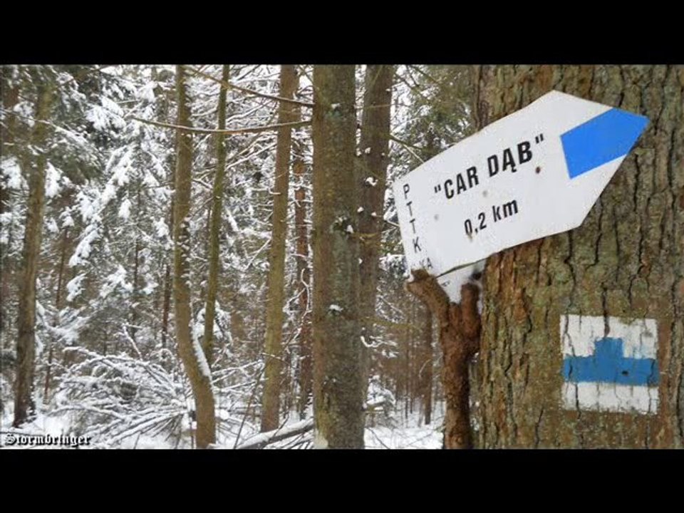 Puszcza Białowieska-29.01.2011