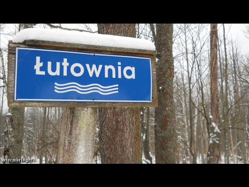 Puszcza Białowieska-30.01.2011
