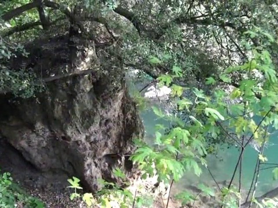 Le Saut du Capelan Var La Motte en Provence