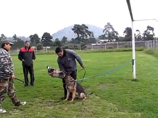 PACO ENTRENAMIENTO 1