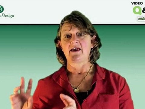 Landscape architecture Wellington, Garden designing Newtown