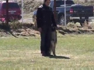 Satoris Paco - Prueba de BH