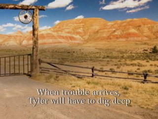 Tyler  The Secret Life of Cowboys by C H Admirand Book ...