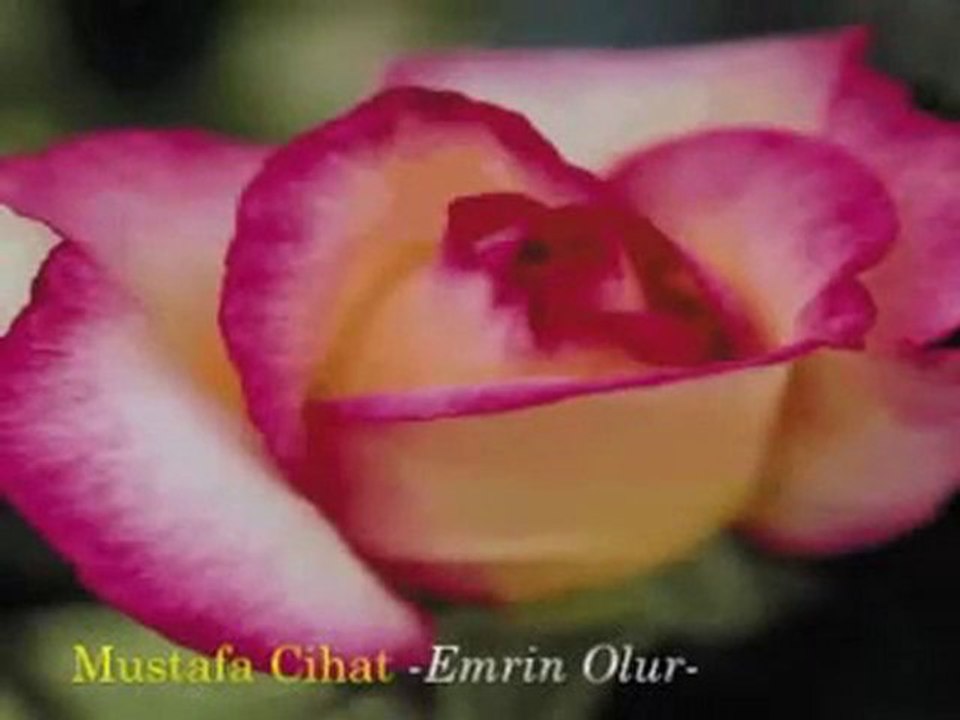 Mustafa  Cihat - Emrin olur