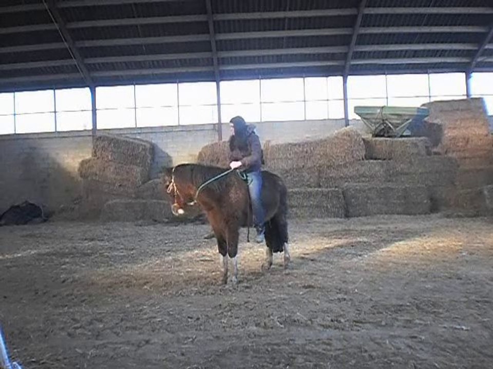 Vinnie travail monté