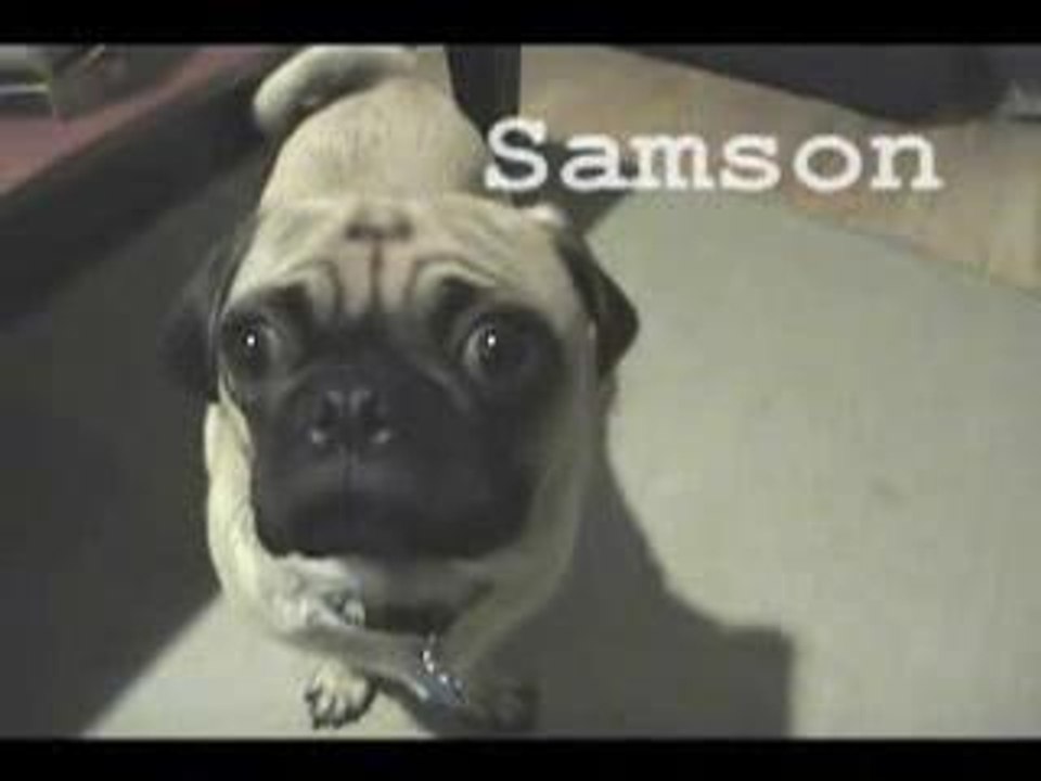 Bowling_samsonom