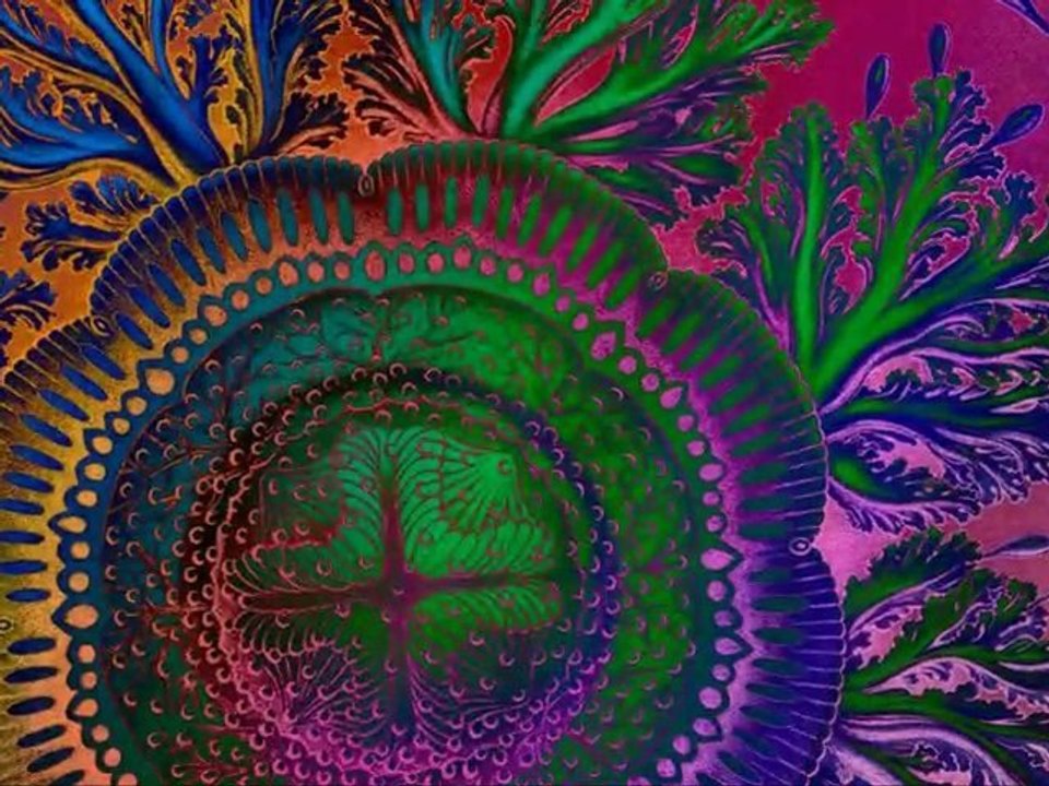 Fractals meet Haeckel`s 'art forms of nature'