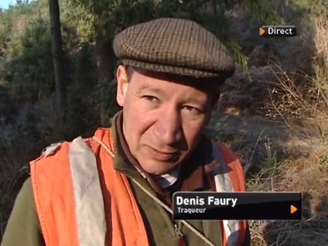 Un mois de plus pour la chasse aux sangliers (Lyon)