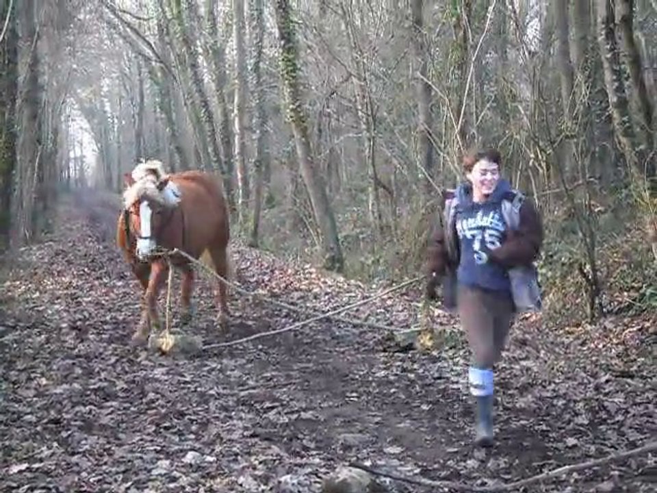 Mon poney en saut ♥