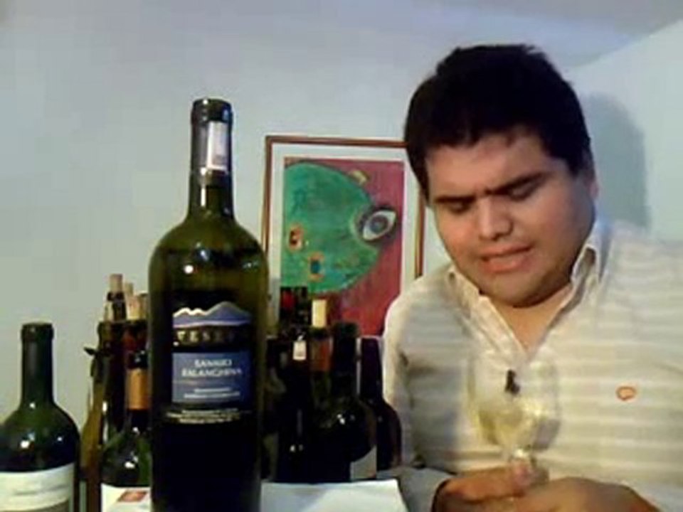 Vesevo Falanghina Sannio 2009