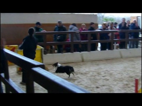 20110130 lahonce excel little blue