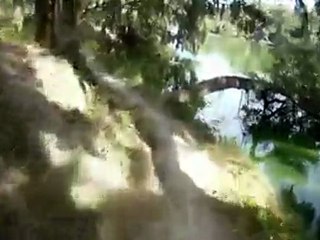 Loyce E. Harpe MTB - 1st & 2nd Fingers