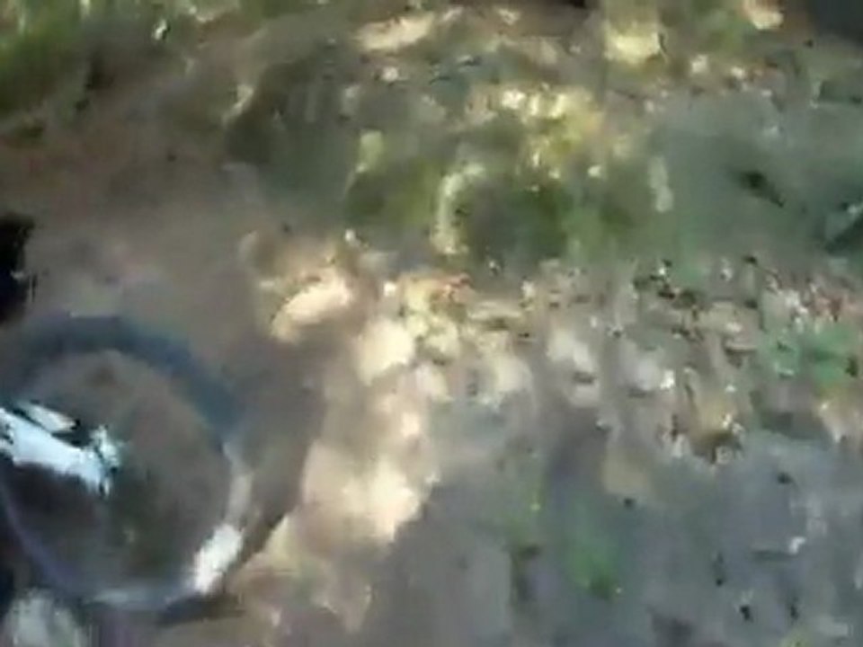 Alafia River State Park - Rabbit Ears - Part II