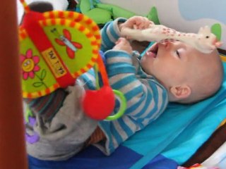 Martin : 2 pieds 2 mains 1 bouche