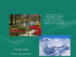 YILDIZ ÇAM - YAZIMI KIŞA ÇEVİRDİN