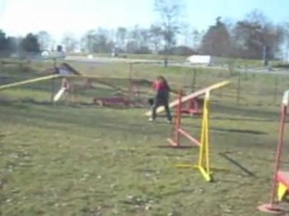 Entrainement agility 9 février 2011