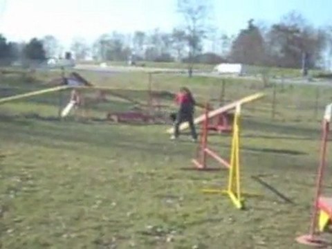 Entrainement agility 9 février 2011