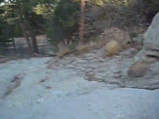 Palmer Park Connection Trail 2