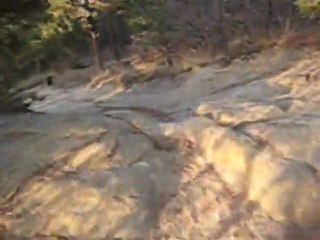 Palmer Park Connection 3