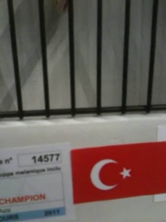 AZİZ ÇETİN DÜNYA ŞAMPİYONU GLOSTER