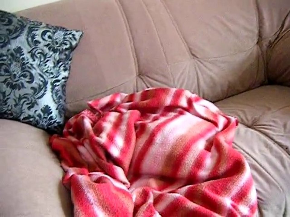 Tu ne m'as pas laissé le temps - Par moi