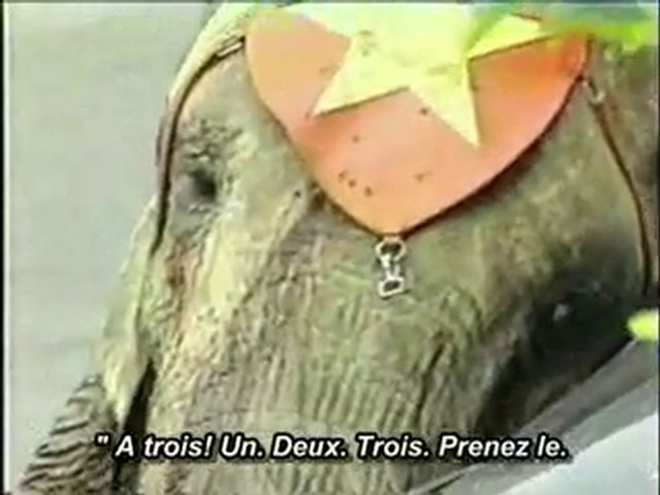 nature rebelle toi