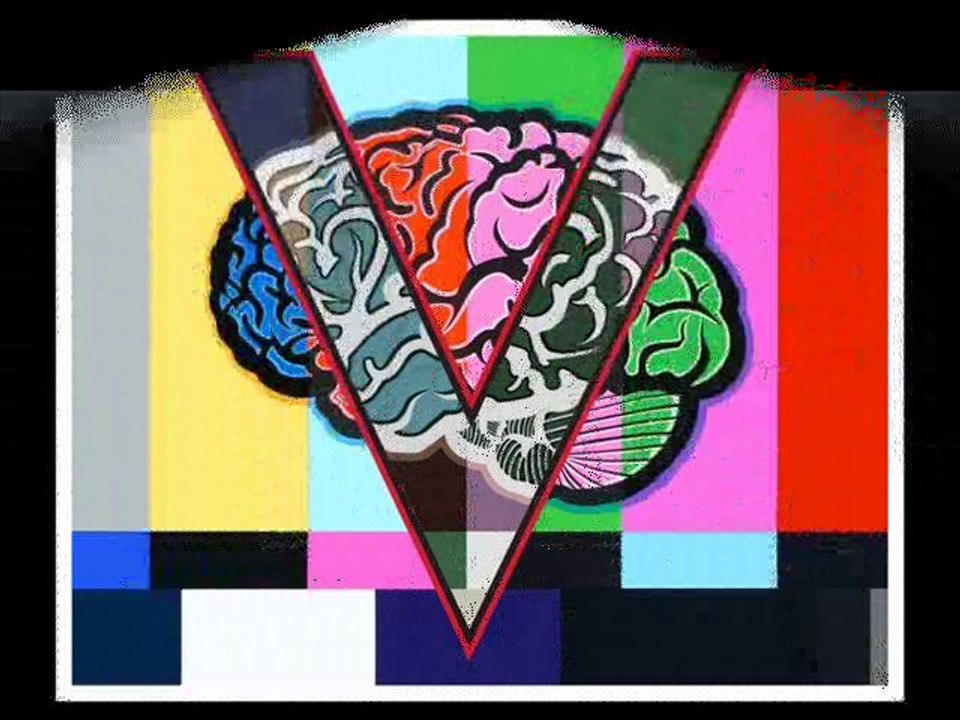 V pour VICTOIRE contre NOUVELLE ORDRE MONDIAL...Janvier 2011