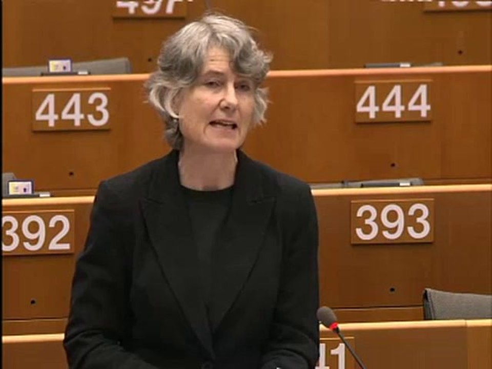 Fiona Hall on European Council meeting 4/2/11