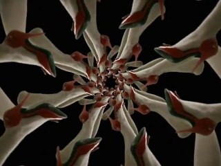 Compact Car Legroom: Real or Illusion?