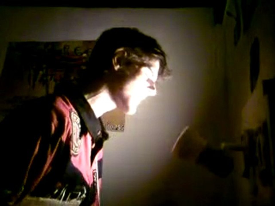 THE VINES (nouvelle reprise)